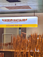 救命！我真的后悔没有早点来吃湘戈戈‼️ - 小红书