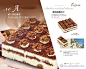 蛋糕店画册设计模板 #采集大赛#