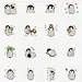 多种企鹅表情包画像png免抠素材_新图网 https://ixintu.com 多种 企鹅 表情 画像