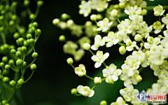 一周壁纸榜单 靓丽风景伴您欢度周末_科技_火狐中文网【第二名：春暖花开 高清壁纸】春天是一年的第一个季节，北半球为公历3,4,5月，而南半球却是在9月开始，11月结束。春天气候温暖适中，万物生机萌发，气候多变，乍暖还寒。在这春暖花开的季节，真是充满了诗一般的心情体验啊，且看那大地回春，万物蓬勃复苏，艳丽的花朵们开出优雅多姿的花瓣，如同眼花缭乱的花瓣舞。有大批表现春天或以春天为题的音乐和影视作品。另有内地歌手春天。在斗地主游戏中，春天指地主先将牌出完而另两方一次也未能出牌的情况。