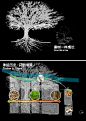 商业综合体广场购物商业街区步行街景观设计方案文本pdf参考资料——淘宝网