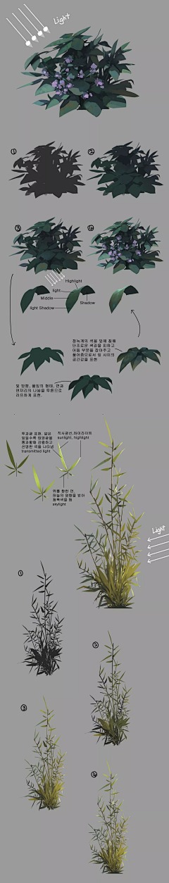 用户7543620653采集到植物