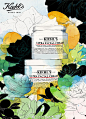 illustration for KIEHL'S  ​​​​
