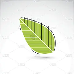 手绘插图的简单山毛榉树叶子孤立。绿色