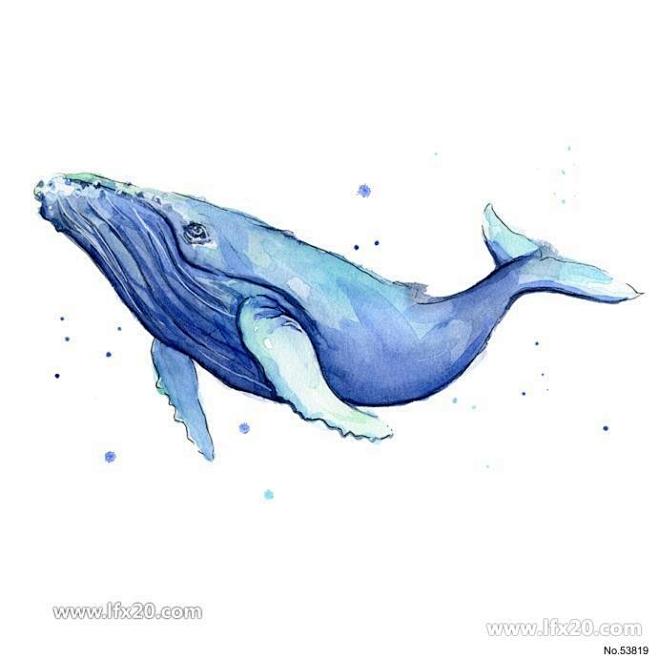 海洋动物海豚鲸鱼母子PNG免扣素材_PN...