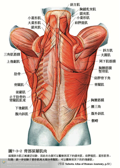 LHzDl_臭臭采集到人体