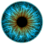 news-eyes-have-it-blue-eye_58914_600x450.jpg (450×450)