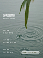 新香|游船慢旅中感受生活的悠闲与诗意 - 小红书