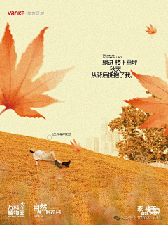 老薰采集到万科