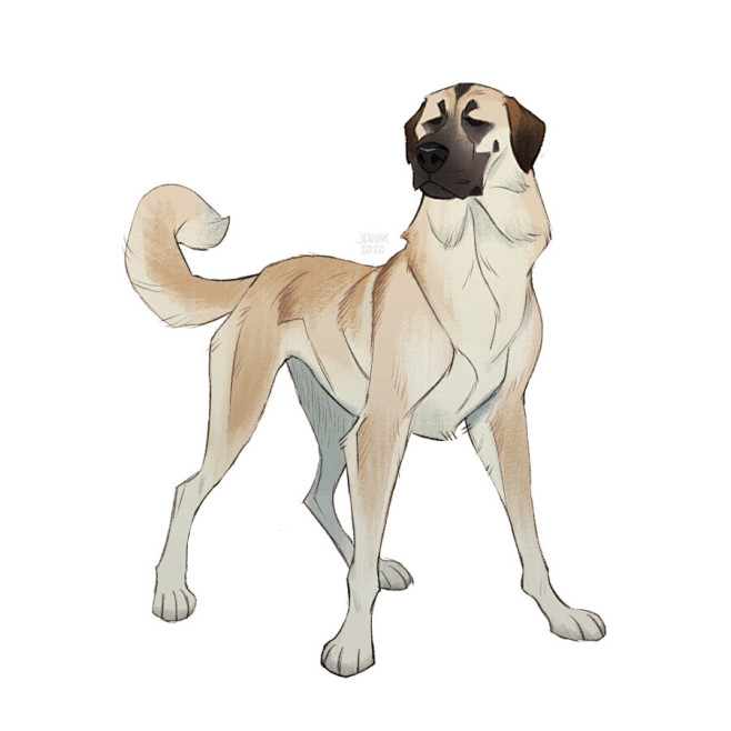 Doggust 2020 (part 1...