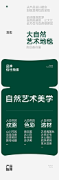 汤臣杰逊 X 大江地毯｜品牌超级体系视觉