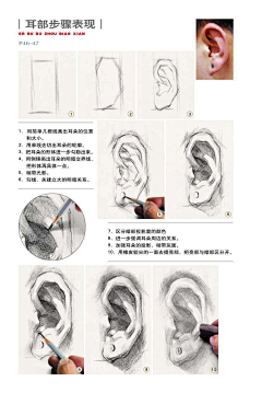 一半青山一半绿水采集到绘画素材-头颈肩