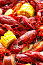 Close up picture of crawfish in Cajun crawfish boil.