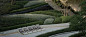cover_image