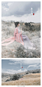 【孤行记】

  出镜/司音儿
  摄影/姜天狗的摄影
  汉服摄影/古风写真