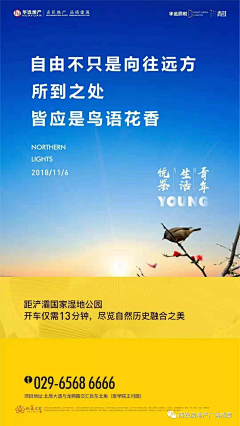 安徒生0采集到文案
