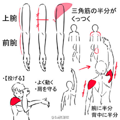 妖辉映寒月采集到有用