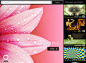 Shutterstock图像iPad应用程序界面设计，来源自黄蜂网http://woofeng.cn/ipad/