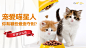 猫粮宠物粮Banner