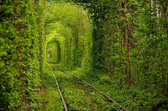 乌克兰Kleven小镇的爱之隧道