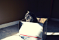 wallhaven-140488