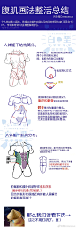腹肌（躯干）的相关要点总结