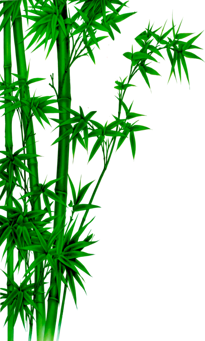 竹子环保