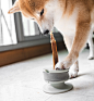 Should dogs only have one bowl for all types of food? CHEWDEN is ergonomically-designed to hold all types of dog food - Yanko Design : https://youtu.be/wg9qp6C-6Ys Seatbelts were famously designed using male crash test dummies, and as a result, they're st