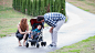 Home - GBChildUSA : GBChildUSA is your place for everything GB - Strollers, Travel Systems, and Car Seats. See the new Pockit and Qbit Strollers, Evoq Travel System, and more!