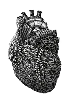 ANATOMY 黑白花纹人体脏器解剖学插画[5P] (1).jpg
