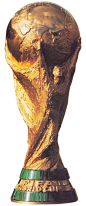 FIFA World Cup Trophy is awarded every four years to the country that wins the FIFA World Cup, currently held by Spain.
