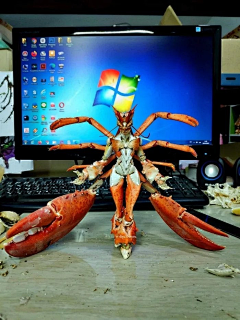 左武卫采集到6