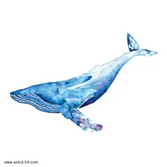 水粉手绘鲸鱼
