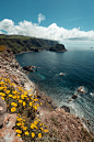 Blooming Ocean by André Farinha on 500px