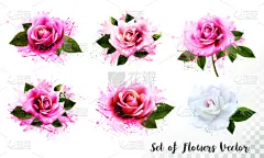 矢量,抽象,可爱的,玫瑰,周年纪念,贺卡,水彩画颜料,浪漫,春天,夏天