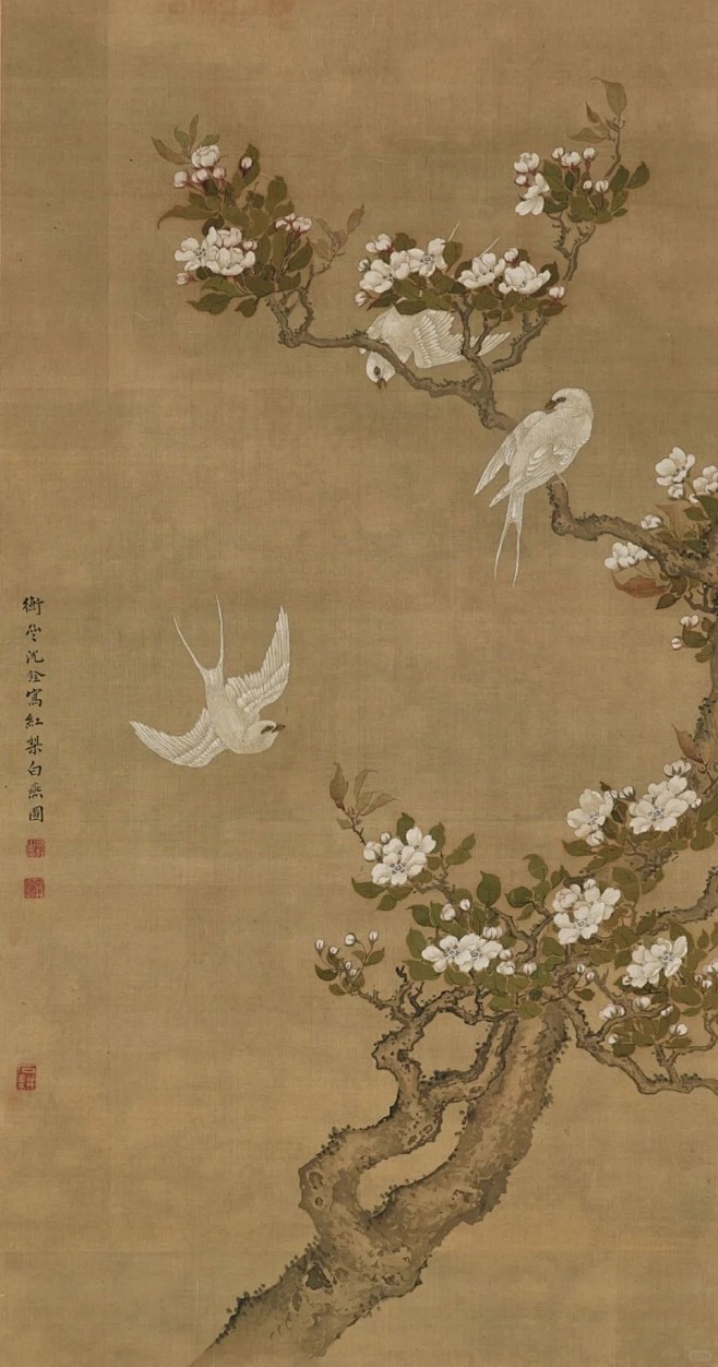 【历代名家画花鸟梨花】_8_国画热_来自小红书网页版
