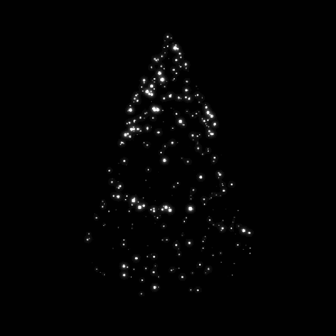 #圣诞树# #荧光#