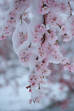 蕾❤蕾采集到美一刻