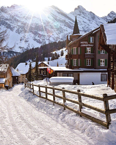 翠玉竹林采集到雪景