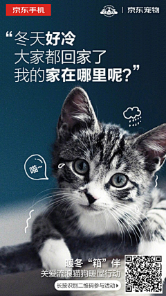 丿卷王丿采集到宠物海报