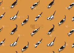 沙子,暹罗猫,巨大的,式样,左撇子,华丽的,壁纸,自然美,思考,坐