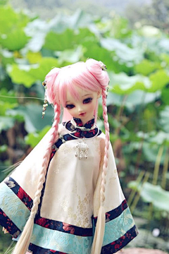 吃柚子的大鹅采集到bjd⭐