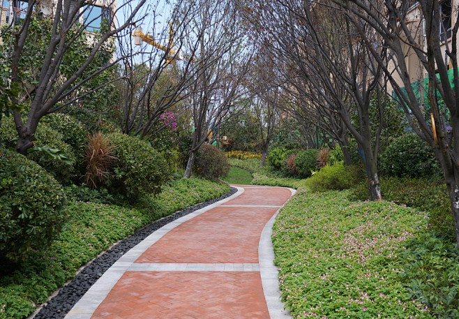 园路植物景观