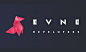 EVNE 开发人员