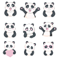 矢量小清新可爱熊猫头像表情包插画