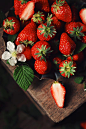 草莓（づ￣3￣）づ╭❤～
