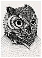 来自伦敦的 Iain Macarthur ，带来一组猫头鹰的肖像。