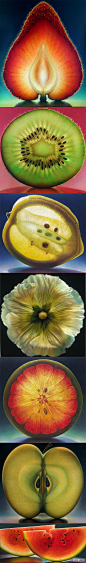 这些可不是照片，俄亥俄州艺术家DennisWojtkiewicz充分调动光、色与形，描绘出了这些栩栩如生的水果鲜花超大油画，给人不同的视觉感受。