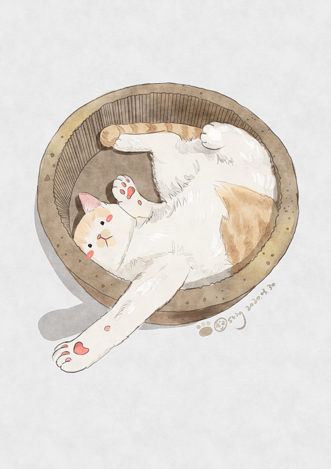 猫 猫咪 水彩 插画 @梁家大叔