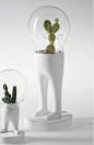 Designed by Matteo Cibic, these amazing bipeds terrariums personify house plants by raising them instead of the head, under a bell jar. Such as Art-toys, sometimes white and minimalist, sometimes playful and customized, these original flowerpots are to be